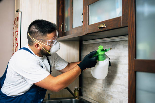 Best Best Pest Control Companies  in Auburn, NY