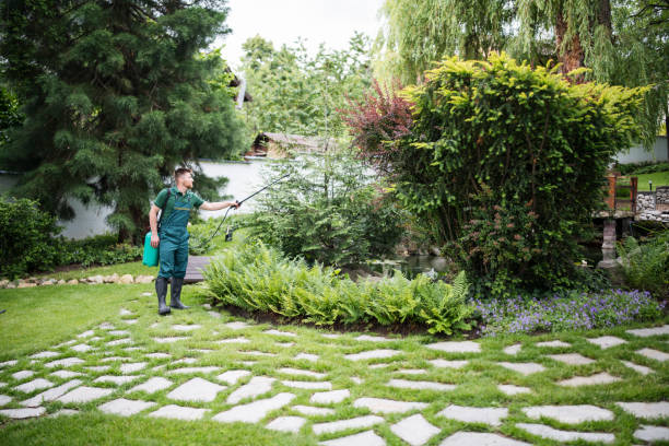 Best Exterminator Services  in Auburn, NY