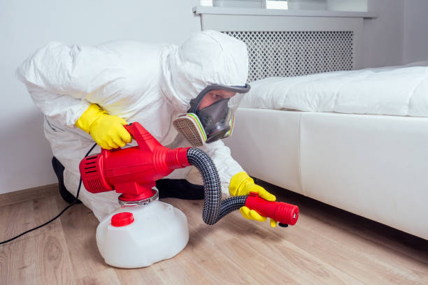Best Local Pest Control Services  in Auburn, NY