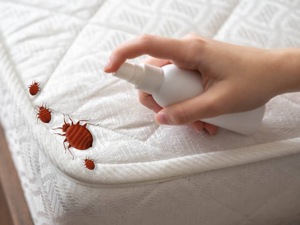 Pest Prevention Services in Auburn, NY