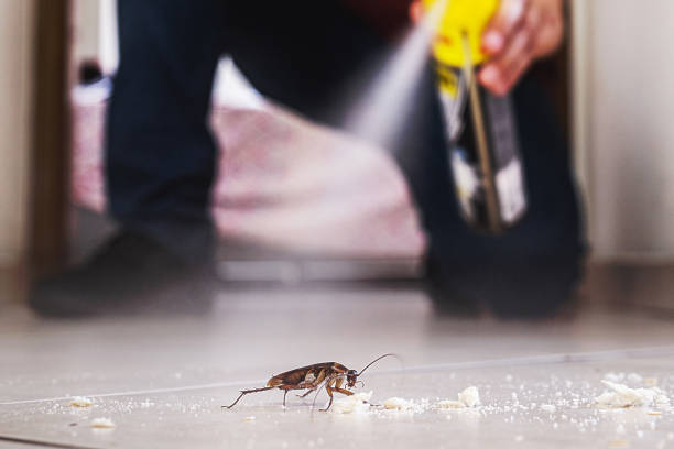 Reliable Auburn, NY Pest Control Solutions