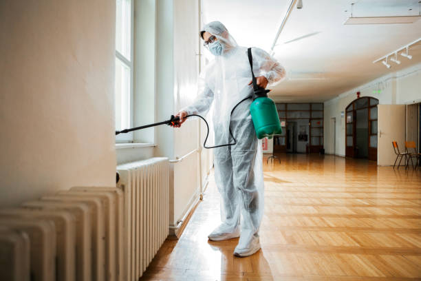 Best Affordable Pest Control Services  in Auburn, NY