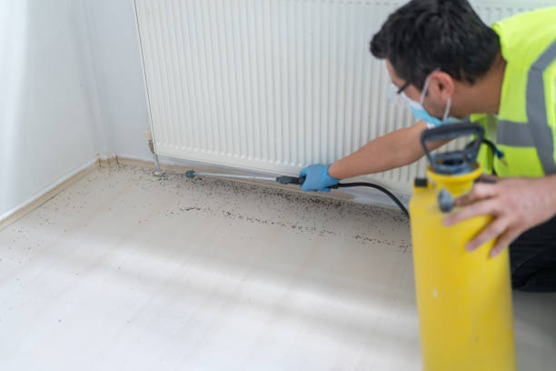 Best Affordable Pest Control Services  in Auburn, NY