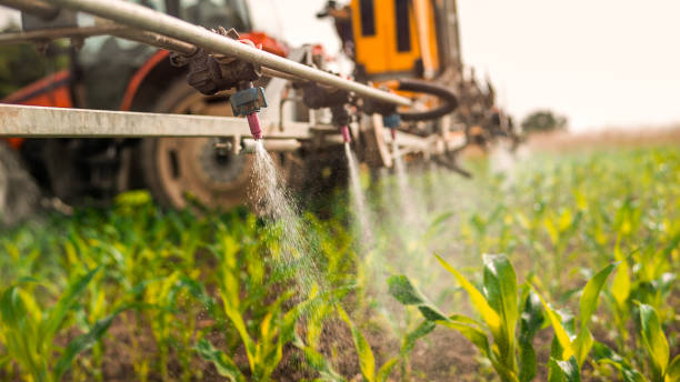 Best Mosquito Control Services  in Auburn, NY